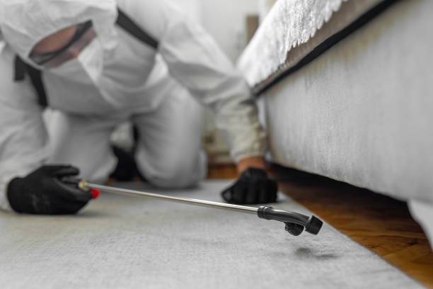 Professional Mosquito Control technician working in Mahanoy City, PA