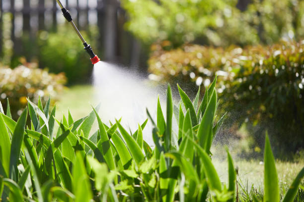 24/7 Emergency Mosquito Control experts in Mahanoy City, PA