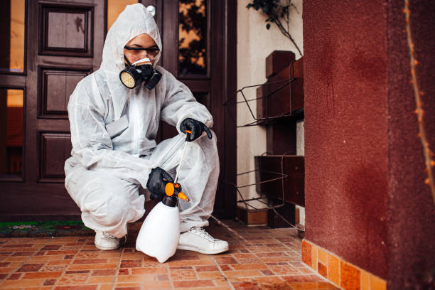 Reliable Mosquito Control contractor in Mahanoy City, PA by Nex Pest Control