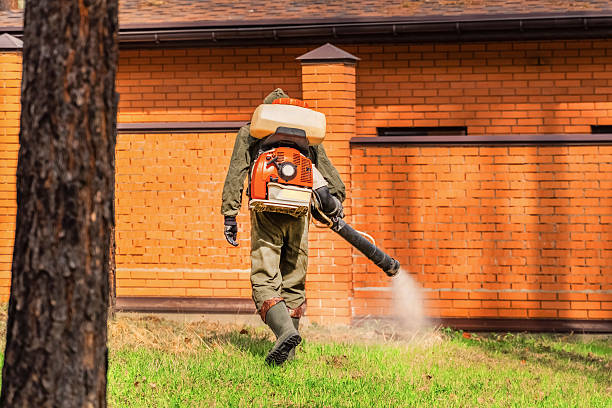 Trusted Mosquito Control service in Mahanoy City, PA - Nex Pest Control